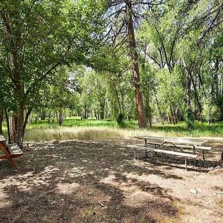 Rustic Cabin Near Downtown Bv And Arkansas River! 布埃纳维斯塔 外观 照片
